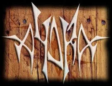 AydrA - HNS logo 2004
