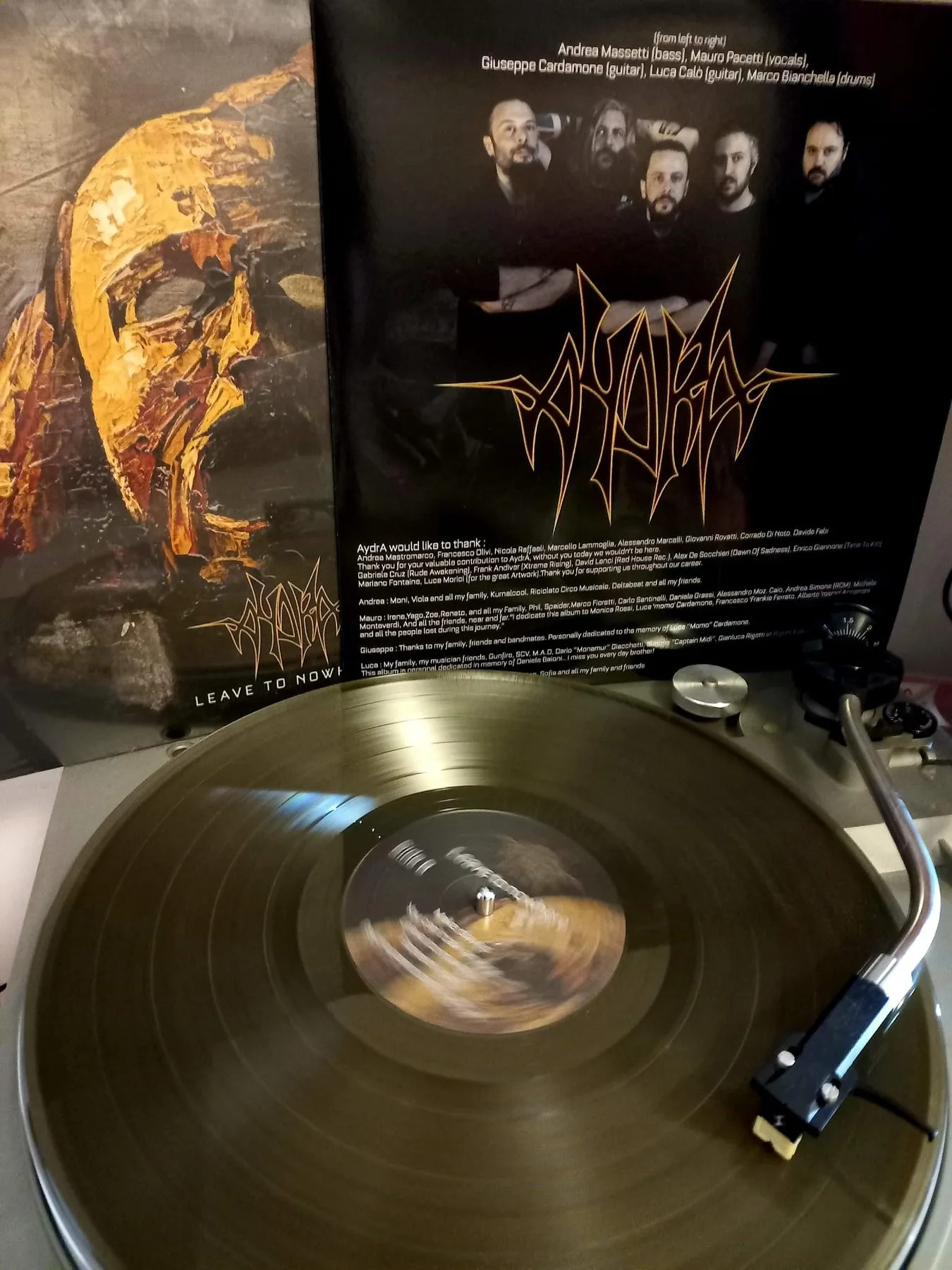 AydrA - The vinyl