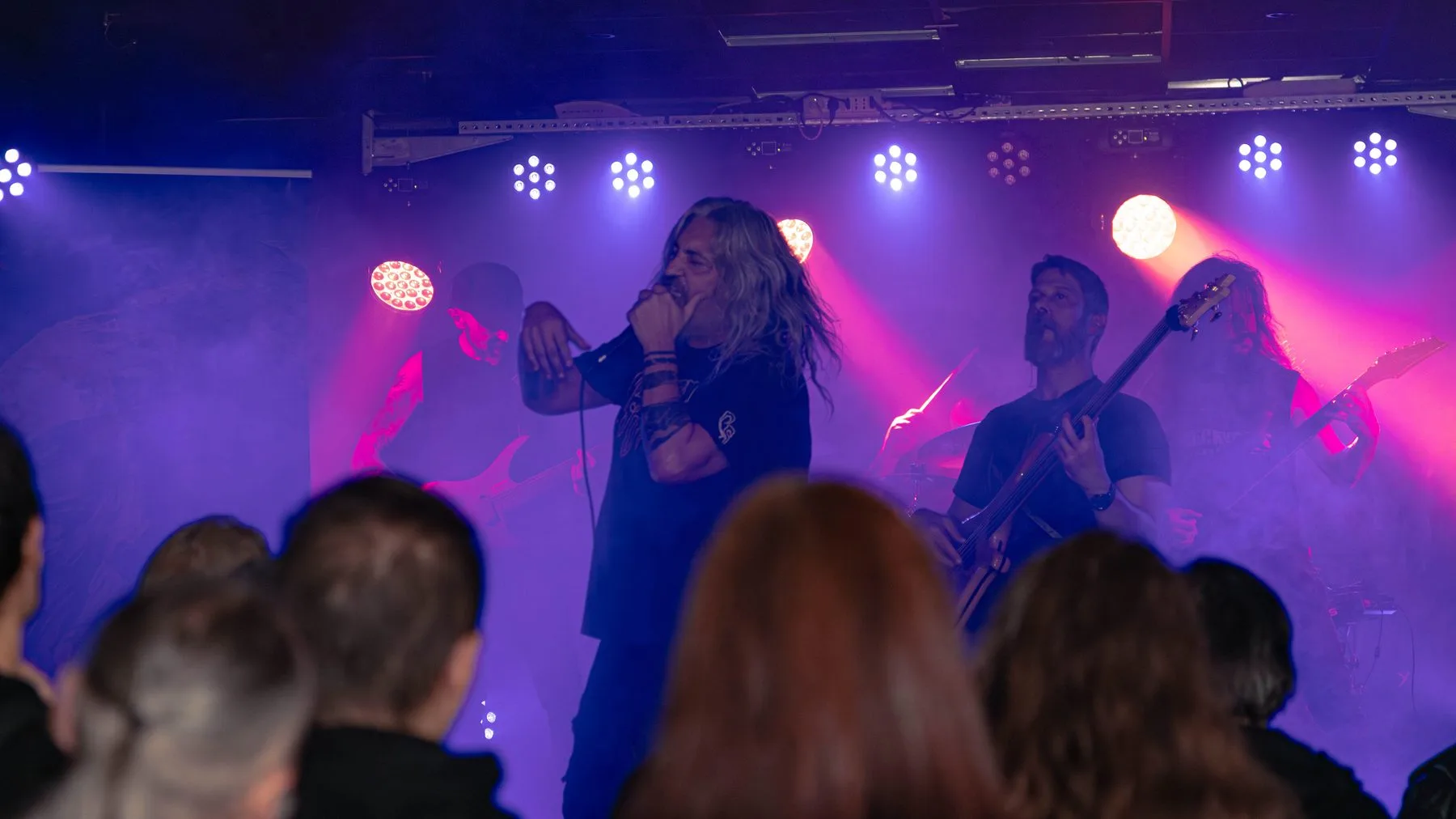 AydrA live Erba