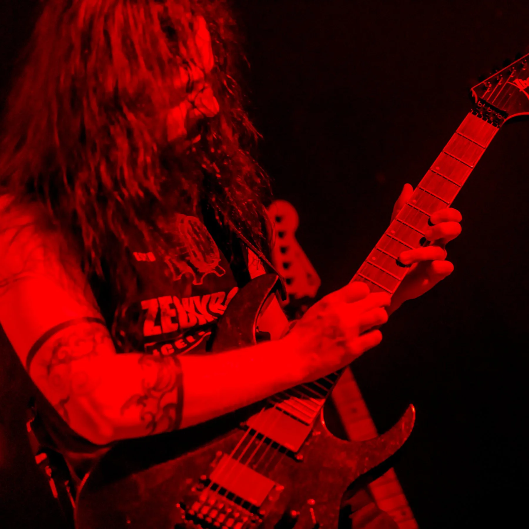 AydrA live Pesaro