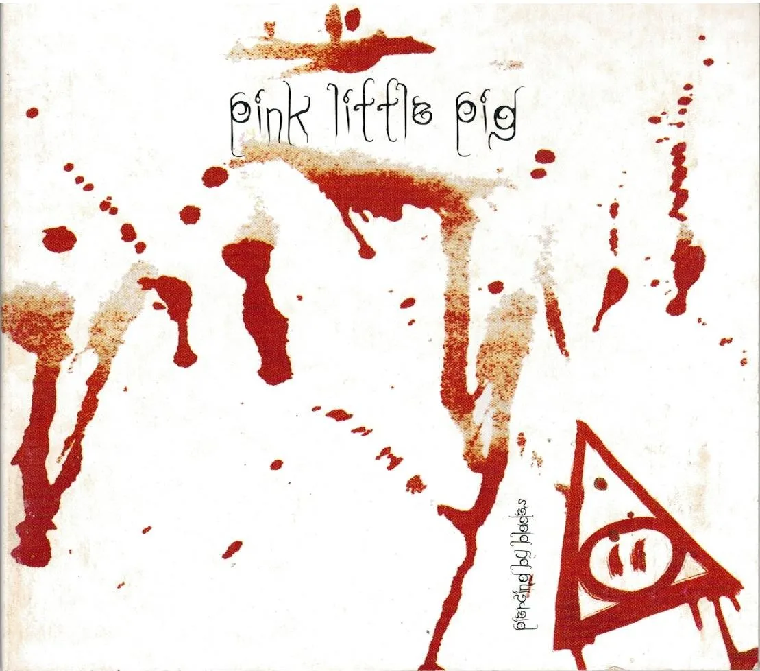 AydrA technical death metal band - mauro pacetti vocals scansioni 000 pink little pig copertine cd