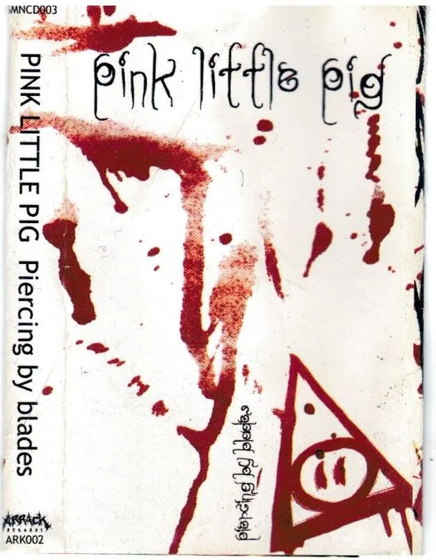 AydrA technical death metal band - mauro pacetti vocals scansioni 000 pink little pig copertine