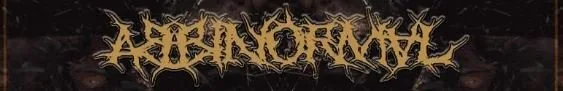 AydrA - Abbinormal logo